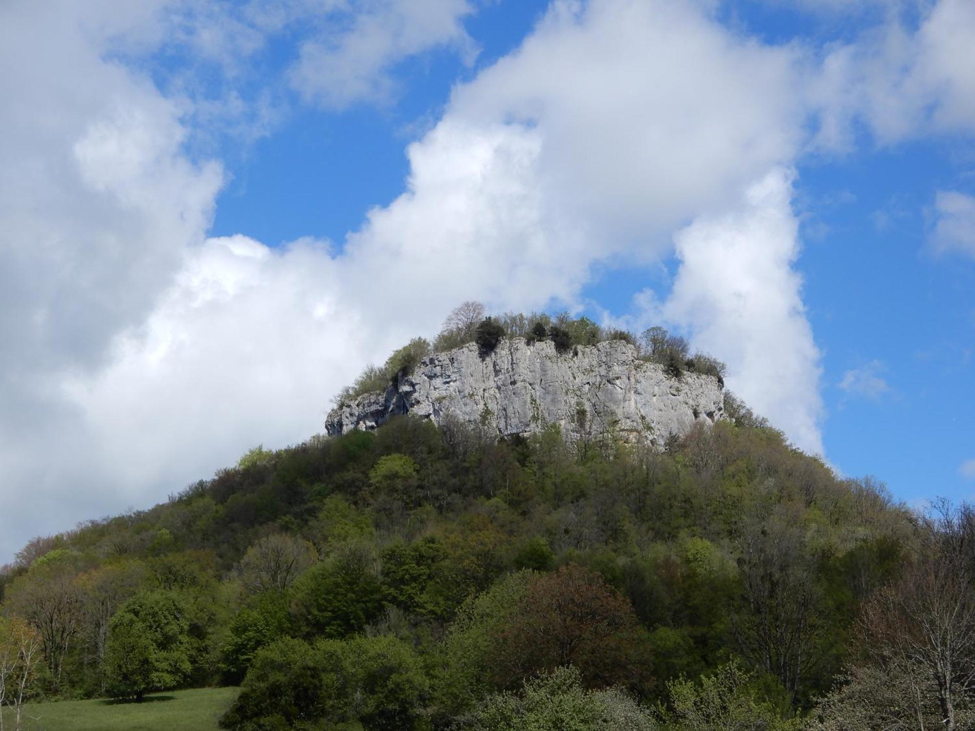 Maison De Vacances - Vue Panoramique Riviere オルナン エクステリア 写真