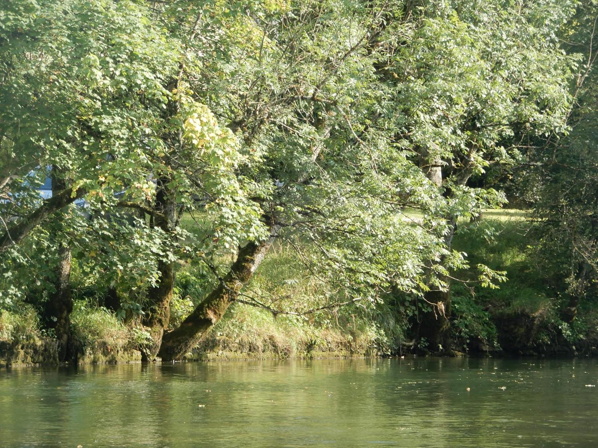 Maison De Vacances - Vue Panoramique Riviere オルナン エクステリア 写真